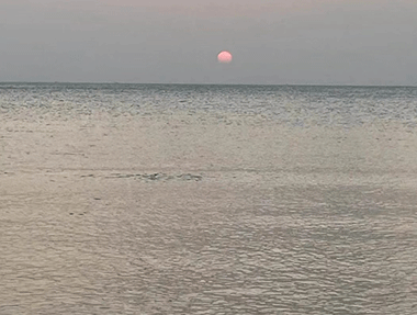 【椰樹(shù)婆娑 流水潺潺】 海南某污水處理廠(chǎng)項目調試優(yōu)化進(jìn)行中